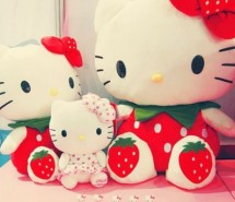 HelloKittyĹͼƬ